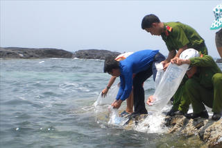 Tái tạo nguồn lợi thủy sản