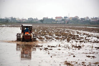 EVN hoàn thành cấp nước phục vụ sản xuất nông nghiệp vụ Đông Xuân