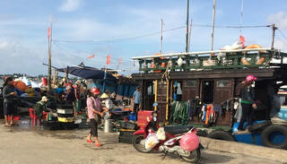 Thừa Thiên-Huế: Hoạt động đánh bắt thủy sản và du lịch biển ổn định trở lại