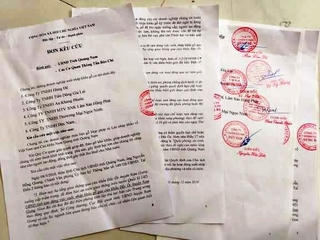 Quảng Nam: Tỉnh ‘tạm cấm’ xuất nhập khẩu gỗ, DN lo bị phá sản