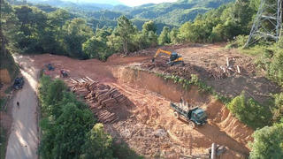 Điện Biên: Tạm đình chỉ Hạt trưởng Hạt kiểm lâm huyện Tuần Giáo