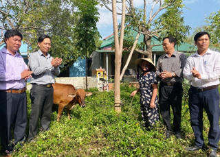 Thừa Thiên – Huế: Trao tặng bò giống hỗ trợ người nghèo