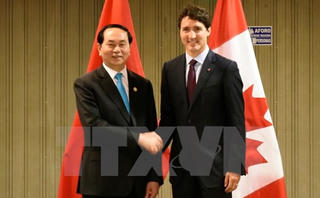 Chủ tịch nước gặp lãnh đạo nhiều nước thành viên APEC