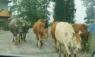 Thoát nghèo ở xã vùng 3