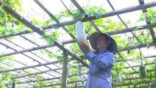 Mặt trận giúp dân thoát nghèo