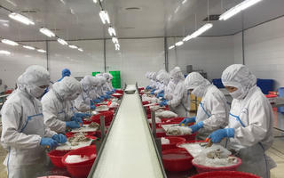 Khan hiếm nguyên liệu sản xuất