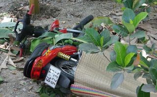 Vĩnh Long: Nam thanh niên chết trong vườn chuối