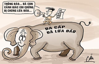 Biến tướng của đa cấp