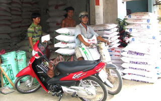 Thị trường thức ăn chăn nuôi: Hấp dẫn doanh nghiệp nội