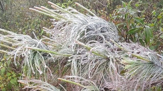 Khẩn trương ứng phó thời tiết nguy hiểm, rét hại, mưa lớn kèm lốc