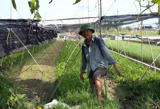 Chuyện làm giàu ở An Phú