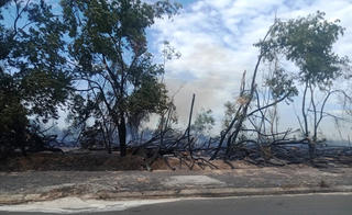 Quảng Nam: Một người tử vong trong đám cháy rừng keo