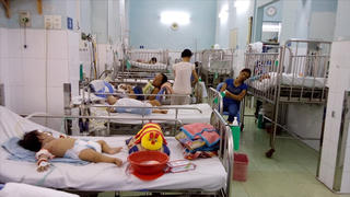 TP Hồ Chí Minh: Sốt xuất huyết tăng 104%
