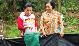 Đồng Nai: Hỗ trợ 45 tỷ đồng cho hội viên phụ nữ vay làm kinh tế gia đình