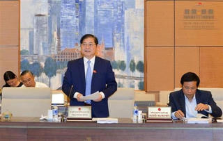 Để mất rừng thì Chủ tịch tỉnh và Chủ tịch huyện phải chịu trách nhiệm