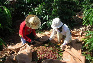Đừng chỉ nhìn ngắn hạn