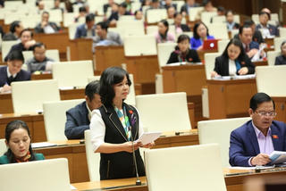 Nghỉ hưu cũng 'không thể hạ cánh an toàn'