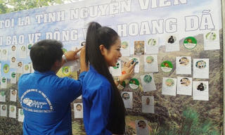 Hồn nhiên trên mạng