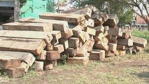 Phú Yên: Xử phạt 380 triệu đồng vì khai thác, vận chuyển, mua lâm sản trái phép