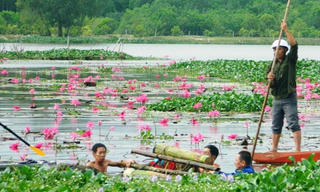 Thi thể người đàn ông lật úp trôi trên sông Đầm