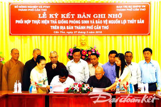 Tăng cường thả giống phóng sinh, bảo vệ nguồn lợi thủy sản