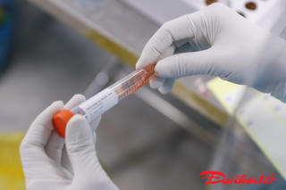 Giáo sư đầu ngành dịch tễ nói gì về hoạt động test nhanh tại Bắc Giang?