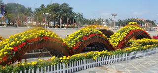 Quảng Nam: Độc đáo sản phẩm nhà nông tưng bừng nơi phố thị