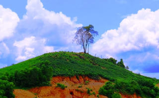 Đại ngàn chui lọt lỗ kim