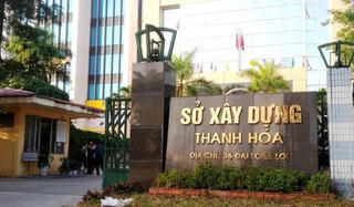Vụ bổ nhiệm bà Trần Vũ Quỳnh Anh (Thanh Hoá): Ban Tổ chức Tỉnh uỷ nhận trách nhiệm