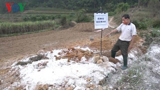 Thêm 1 xã tại Lạng Sơn xuất hiện dịch tả lợn châu Phi