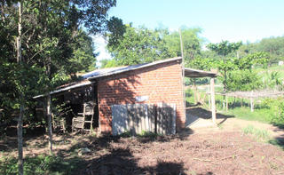 Quảng Nam: Trang trại gà gây ô nhiễm