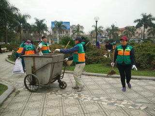 Những tuyến đê xanh