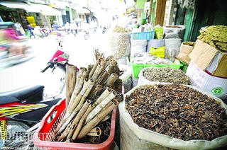 Tăng cường kiểm tra sản phẩm thuốc cổ truyền