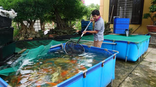 Cán bộ Mặt trận giúp người nghèo có việc làm