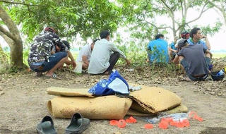 Vĩnh Long: Bắt quả tang 20 đối tượng đá gà ăn tiền