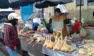 Nơm nớp thực phẩm bẩn