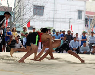 Hội vật truyền thống ngày xuân ở Ba Đồn