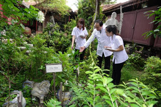 Bảo hiểm y tế chưa thanh toán chi phí thuốc nam