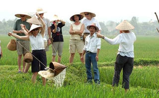 Dự thảo Luật Du lịch sửa đổi: Ngổn ngang bất cập