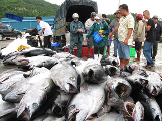 Xóa thẻ vàng