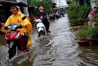 Kiên Giang: Hơn 6.300 căn nhà, 115 điểm trường bị ngập