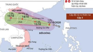 [Infographics] Thông tin về cơn bão số 7 - Nangka trên Biển Đông