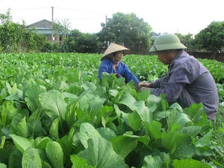 Cơ hội phát triển nông nghiệp vùng Tây Bắc