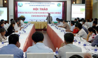 Giúp nông dân tiếp cận thông tin và định hướng thị trường trồng Ca cao