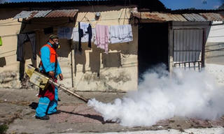 Đầu tư tài chính để chống virus Zika