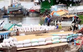 Xuất khẩu hàng hóa: Tăng số lượng nhưng giảm lợi nhuận