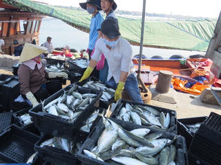 Không để kẻ xấu kích động, lôi kéo, lợi dụng