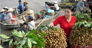 Hỗ trợ nông dân vùng hạn mặn tiêu thụ nông sản