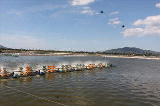 Đề nghị trích 200 tỷ đồng xử lý tồn đọng sự cố môi trường