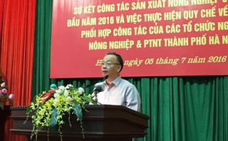 Hà Nội 'thổi còi' hàng loạt lãnh đạo vắng họp